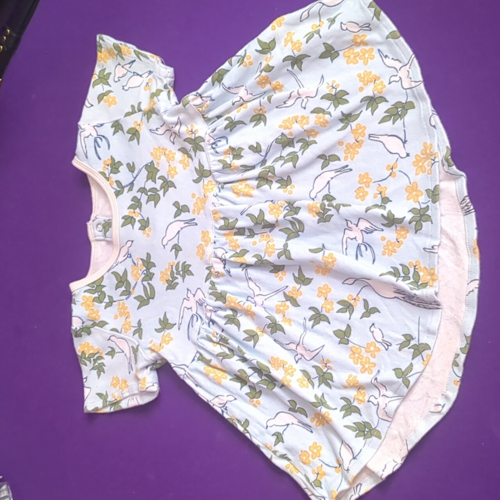 Apple park dress